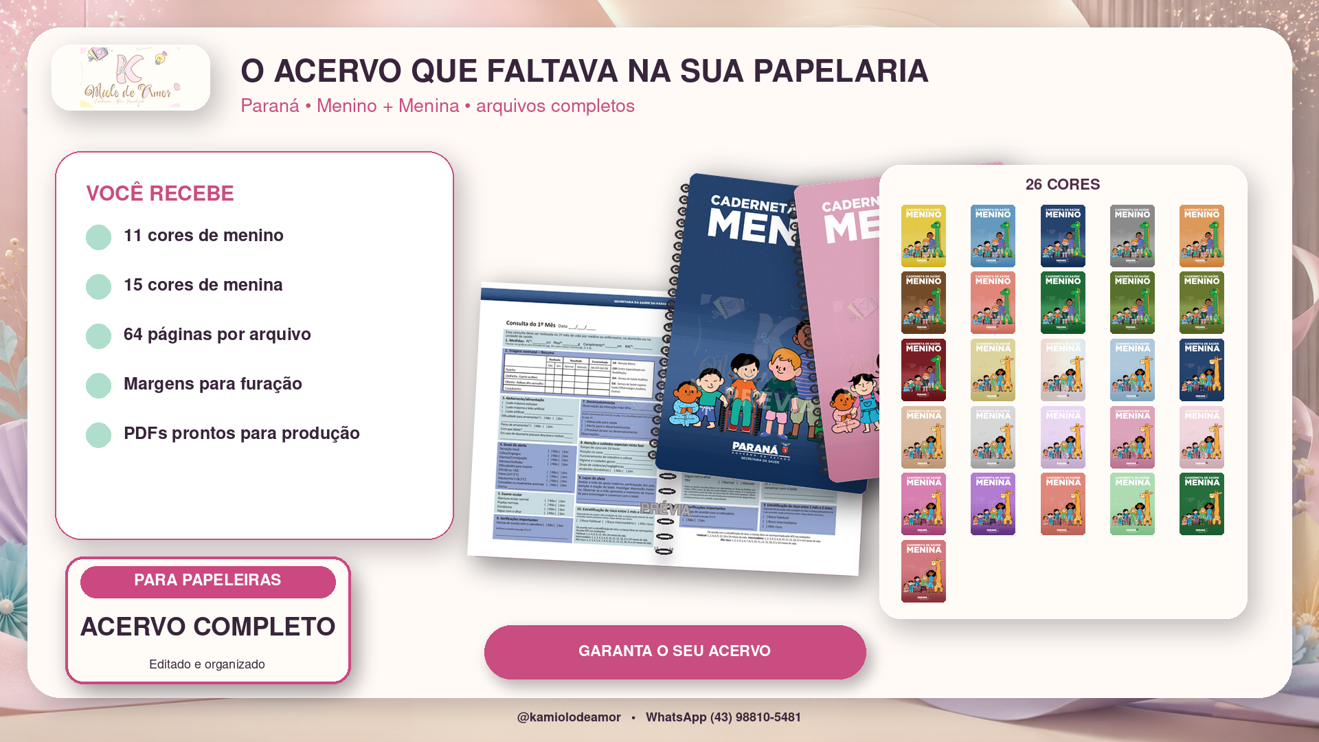 Acervo de miolos coloridos da Caderneta de Saúde do Paraná para menino e menina